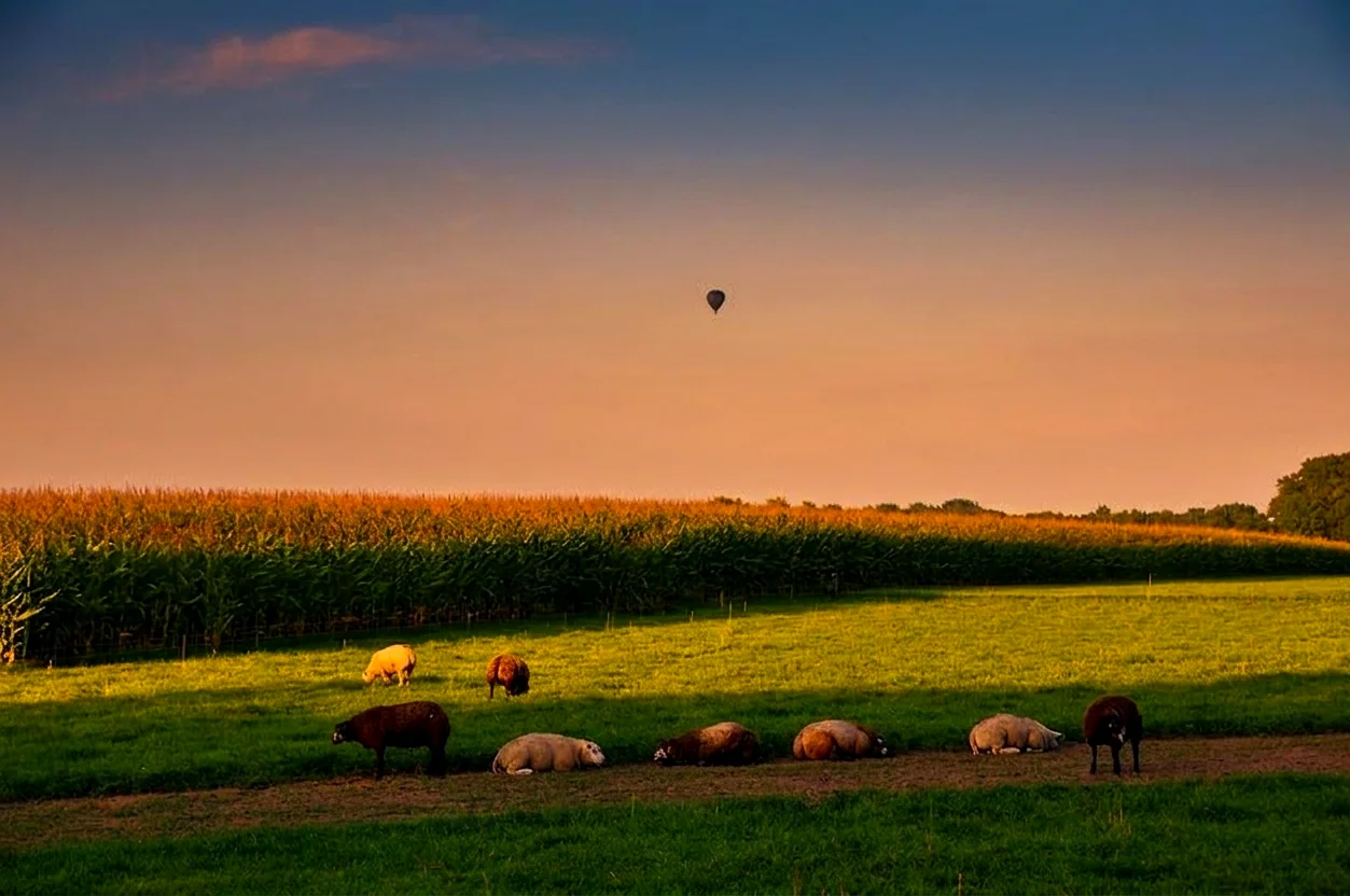 Brabants landschap rond Helmond vanuit de luchtballon (sfeer 3)