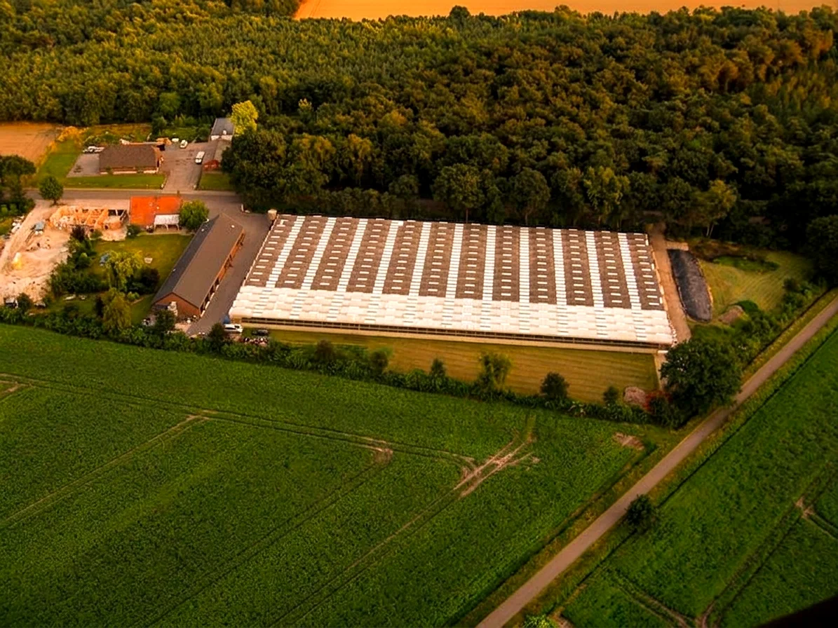 Brabants landschap rond Gemert vanuit de luchtballon (sfeer 3)