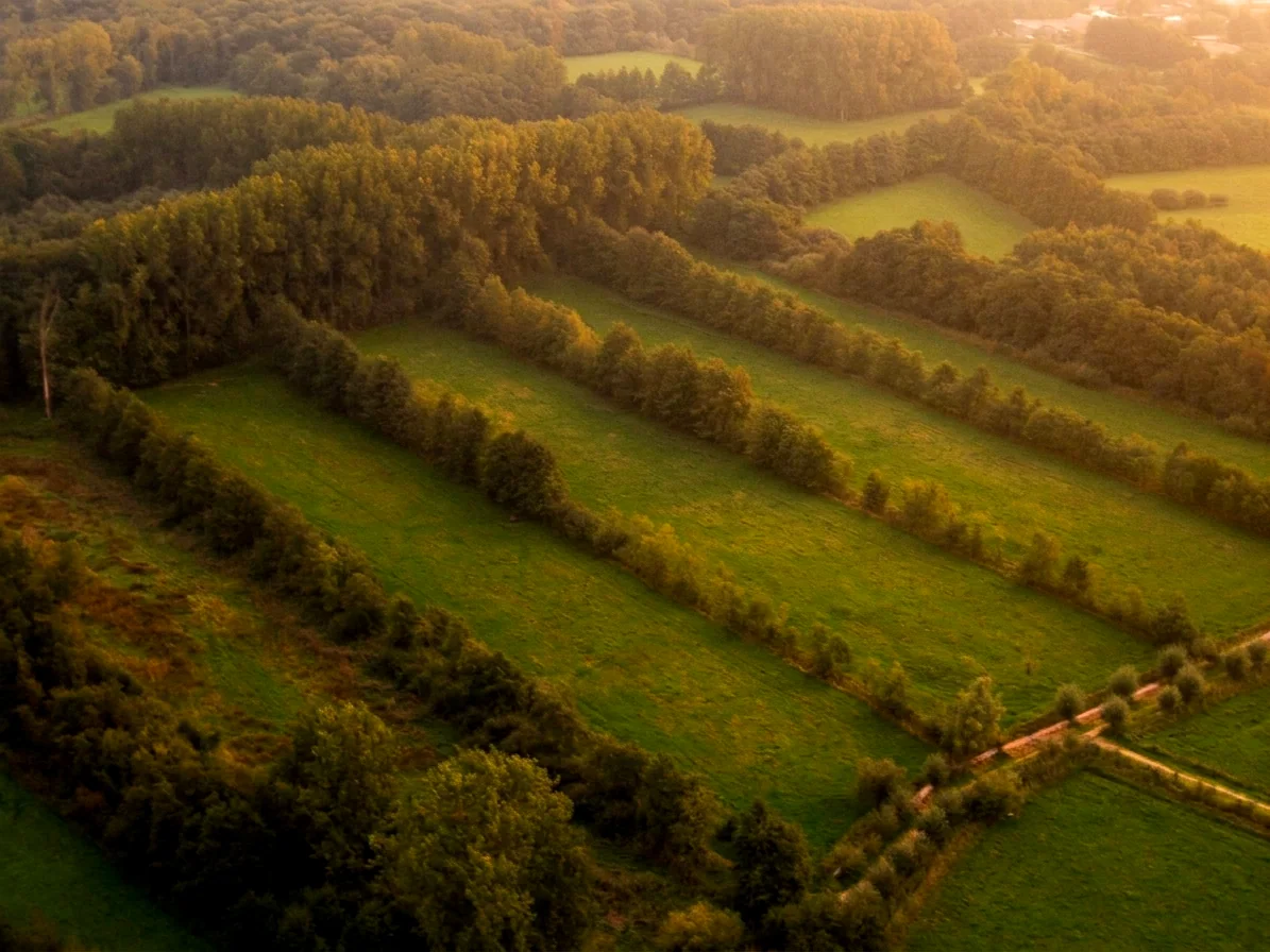 Lierop grenst aan de Strabrechtse Heide